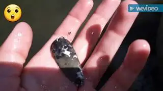 I FOUND A TACKLE BOX AT THE BOTTOM OF A CREEK!
