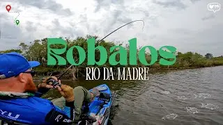 Pescaria INSANA de plug! Pescaria de Robalos, Rio da Madre - Paulo Lopes/ SC