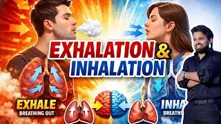 Mechanism of Breathing 🔥| Respiration in human | Human Physiology 
