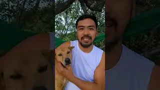 It is not goodbye my brother, Menard