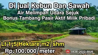 🌿 DIJUAL LAHAN INVESTASI  LENGKAP 1,5 HEKTARE – KEBUN PRODUKTIF, SAWAH DATAR & TAMBANG PASIR AKTIF 