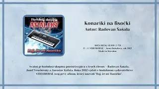 AVALON, Konariky na lisočki, autor rusínskej piesne Radovan Šašala, Videorohal