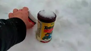 Guppy Pond outside after massive Blizzard!!!