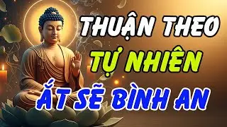 Ngẫm Lời Phật Dạy Giúp Chữa Lành Vết Thương Lòng, Ngủ Ngon Không Mộng Mị