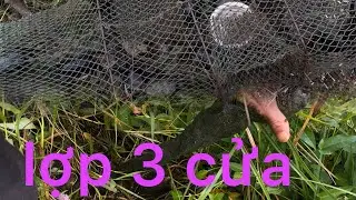 đi chúm gặp đối thủ .nhờ vậy phát hiện được mấy điểm ao dính liên hoàn cước #my bp