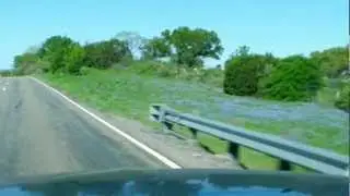 Bluebonnets in Hill Country Part 2 Killeen on 190 to Tow, Texas turn off TX 261