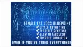 The Venus Factor  ► What is Venus Factor ?