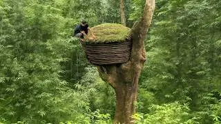 Building a Reed Nest Suspended Over Water, Bushcraft, Insulated Treehouse