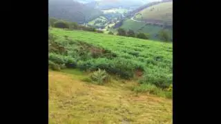 Horseshoe Pass, North Wales