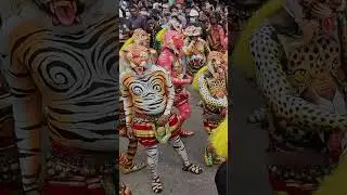 തുമ്പി തുള്ളലും പുലികളിയും | അറിവിന്റെ പൊന്നോണം