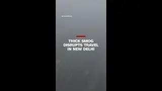 Thick smog disrupts travel in New Delhi
