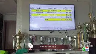 Remates - Hipodromo Rancho Alegre - GP Primera de Canindeyu - En Vivo