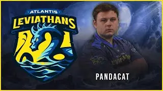 PANDACAT // SWC SEASON X PLAYER SPOTLIGHT