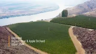 Operator Spotlight: Stemilt Growers (Daybreak Organic Pear & Apple Orchard)