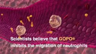 Rose-Hip Vital with GOPO&reg; - what is GOPO&reg;?