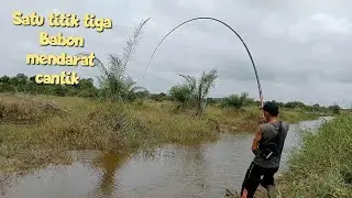 satu titik tiga Babon mendarat cantik || Mancing ikan gabus