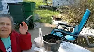 The travelers first gardening video making a mini greenhouse