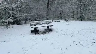 Meditation Background Music Dutch Winter Wonderland