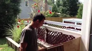 Booby Trap II
