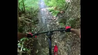 Soldier's Creek Quick Run