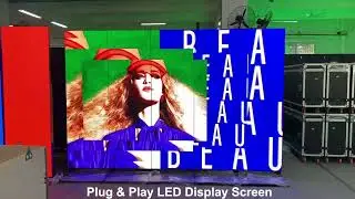 NSELED High Definition Indoor P2.5 Customized Advertising LED Poster