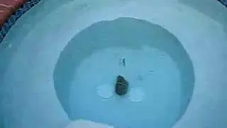 Dry Ice Bomb Under Water