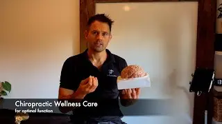 Chiropractic Wellness Care: Move, Function & Feel Your Best