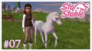 Star Stable Online #07 – Ein Fohlen kommt zur Welt [Let's Play] SSO