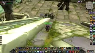 DMW Ironbark Protector Solo Epic Drop + Gear Showcase