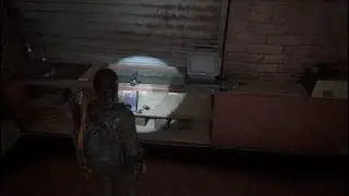 The Last of Us&trade; Part II_ la ville inonder