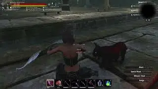 Conan Calamitous Tutorial - The Vanghouls