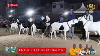 En direct Foire FODAK 2025, final agneaux agnelles mensuration