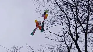 Pakistan Tehreek e Insaaf Flag with Balloons Found Hanging on Walnut Tree in J&K&rsquo;s Doda District