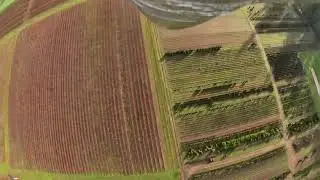 E-Flite P-51 1.0 with attached Insta360 Go 3S