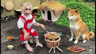 What happens to monkey Xuka when she and Kun dog cook their favorite mixed noodles?