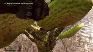 Far Cry® Primal_part 2