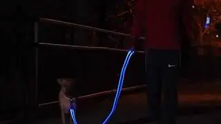 The Barkster - LED Dog Leash