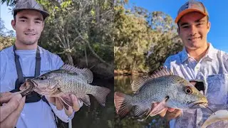 Mangrove Jack Fishing | NSW Mid North Coast