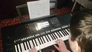 Nebun de alb - Yamaha PSR S775
