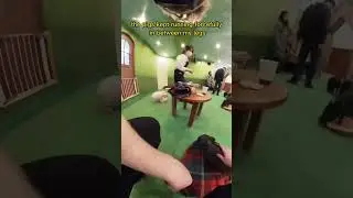Мини-кафе Pig в Японии 🐷 🍱