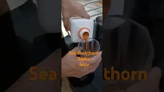 #seabuckthorn #diabojuice #seabuckthornberry #biosash #herbal #himalayasberry  #bestfordibeties