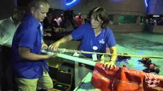 Blacktip Reef Update: Animal Transports