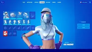 Fortnite: Ice Raider Starter Pack (Chapter 2 Season 5)