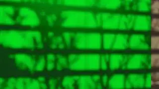 Sunset Stripes - Tree Shadows Green screen