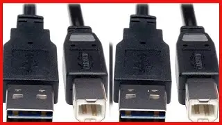Tripp Lite Universal Reversible USB 2.0 Hi-Speed Cable (Reversible A to B M/M) 1-ft.(UR022-001)