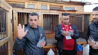 إخوان الغزالي يعلنونها في مسابقة أولاد جرار عن جمعية جوهرة سباتة والفدرالية 2021
