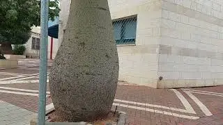 שמן