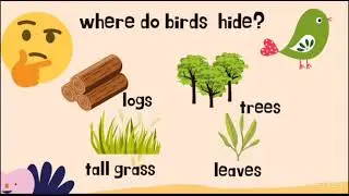 English year 1 Pet show. Where do the animals hide?