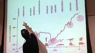 biogeography red queen hypothesis