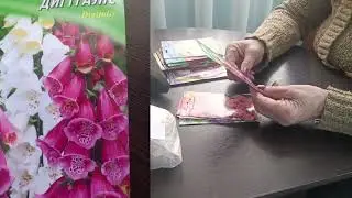 ДЕШЕВЕ НАСІННЯ  КВІТІВ ВІД ГЕЛІОСУ